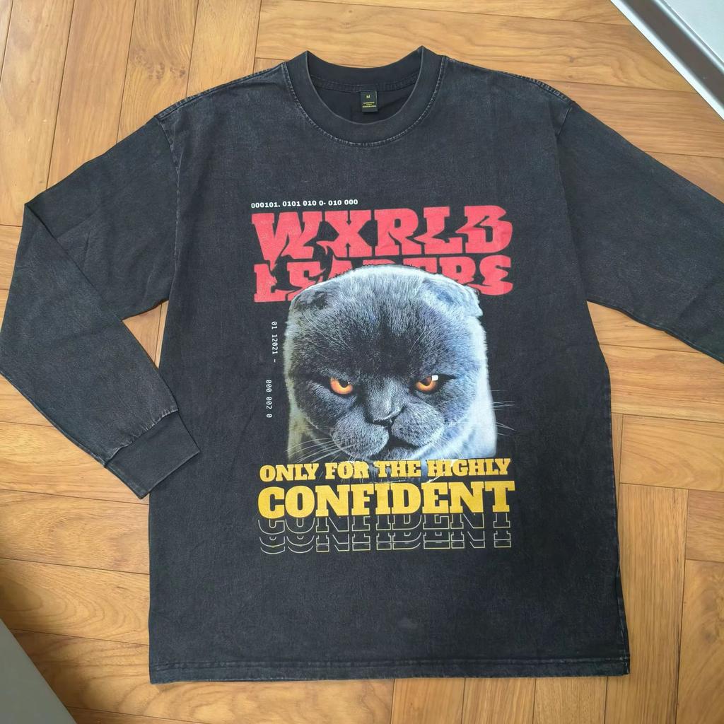 American Hiphop Street Tide Brand Spoof Cat Print Casual Ins Couple Washed Long Sleeve T-Shirt Men And Women