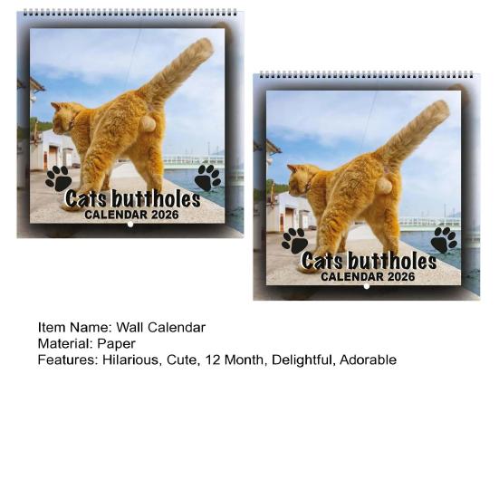 2026 Cat Ball Calendar Jan.2026 - Dec.2026 12 Monthly Wall Calendar with Hilarious Feline Moments Gag Gift for Cat Lovers