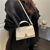 Korean Version Niche Bag 2025 New Texture Foreign Casual Portable Women's Bag Trendy Fashion Shoulder Messenger Bag