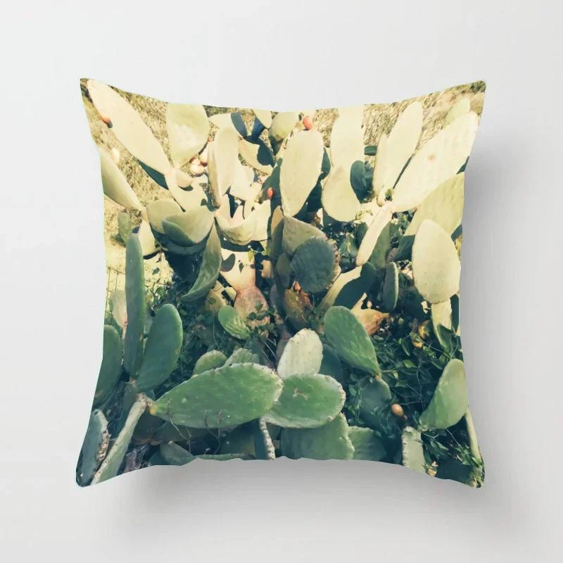 The Square Cushion Of The Cactus Pattern Is Used For Office Chairs For Home Decoration Simple Pillow Case Pillows Decor Home
