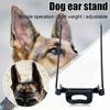 1 Stück Dobermann Ohrenständer Stützwerkzeug Kunststoff Hohe Elastizität Verstellbarer Intervall-Knopfdesign Ohrentraining Aufrichtungsstab