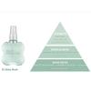 The Face Shop All Over Perfume Mist 120ml | Hair, Body & Fabric Fragrance Mist (3 Types Available)