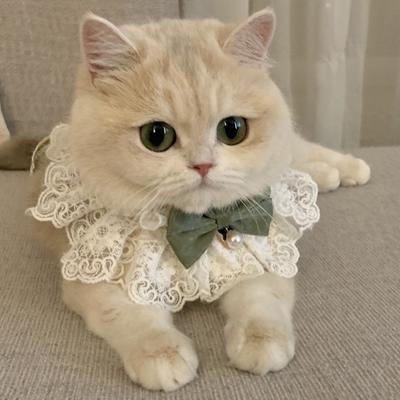 Inci köpek tasması Mücevherli Ipek Düğün Kedi Yavrusu Şerit Eşarp Kolye Pet Yaylar Kolye Saten Yeni Yavru Aksesuarları Papyon Hediye