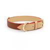 Set Collare e Guinzaglio in Pelle Personalizzato per Animali Domestici Cani Gatti Taglia Regolabile S M L Regalo Proprietari