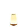 Pat Pat Touch Dimming Table Lamp, 13-Color RGB Night Light, Wireless USB Rechargeable with Timer for Bedrooms & Kids' Rooms