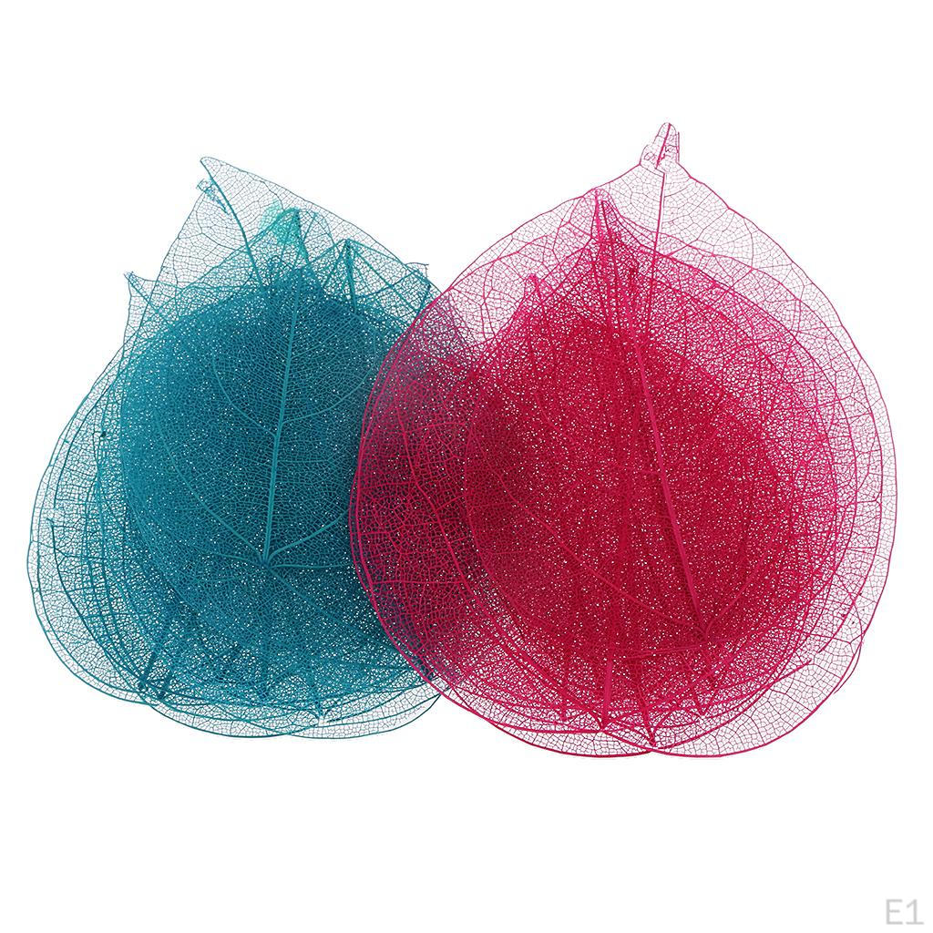 The That Card 20piece Makes Bodhi Accessory Leaves A Skeleton Ornament