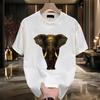Trendy Brand Short-Sleeved Pure Cotton Men'S Printed T-Shirt Trendy Men'S And Women'S Versatile Round Neck T-Shirt Men'S