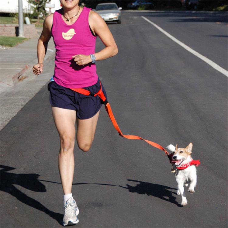 running with a dog leash