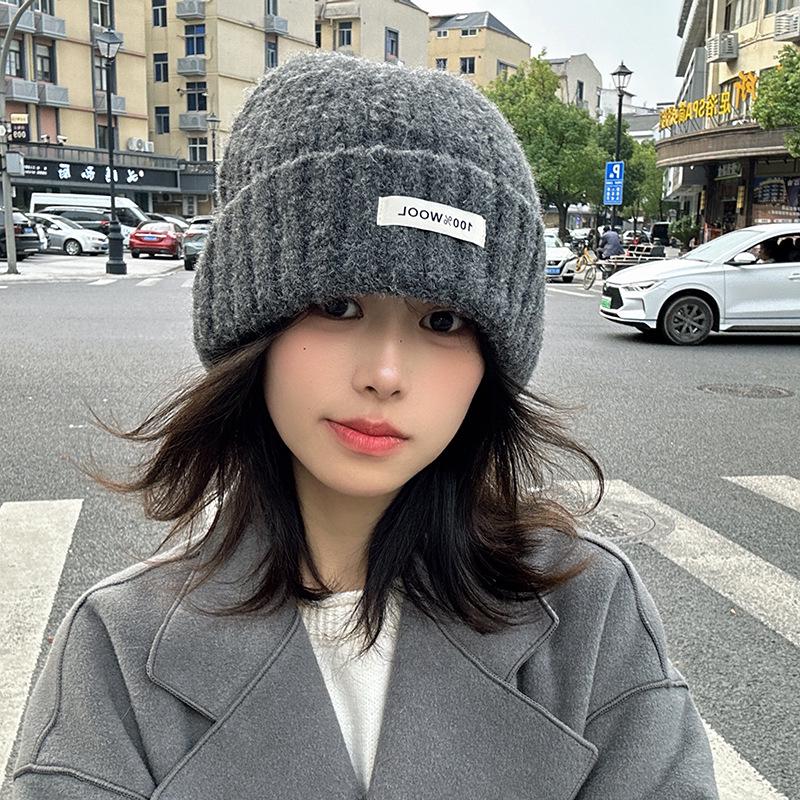 Luochi Knitting Plain Wool Knit Hat - Thick, Warm, Versatile Couple's Hat for Autumn & Winter Korean Style