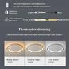 Modern LED Ceiling Light 20/30/50/80CM Dimmable Round Lamp For Bedroom Living Room Apartment Study Indoor Decor Lighting Fixture