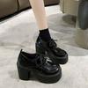British Style Small Leather Shoes Thick Heels High Heels New Spring Waterproof Table Heightening Mary Jane Single Shoes