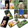 Anime Cute Pig Funny Phone Case for Samsung Galaxy A25 A37 A57 A12 A14 A31 A41 A50 A51 A70 A71 A72 A21S A04 M15 Note 20 9 8 10