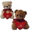 [Sai] Thank You Teacher Bear, Message Teddy Bear Gift Set with Bouquet and Dried Flowers, Ribbon Wrapped, Thank You Gift for Graduation, Club