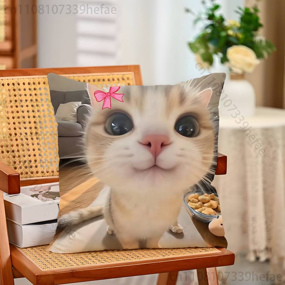 Cat Memes Funny Meme Print Polyester Pillow Case for Valentine Gift Home Sofa Cushion Cover Decoration Custom