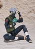 Kakashi Hatake In December Web Shop Limited S.H.Figuarts [Released 2015] [Tamashii Release]