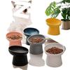 Ceramic Slanted Cat Bowl, High-Sided for Cervical Spine Protection, One-Piece Design.