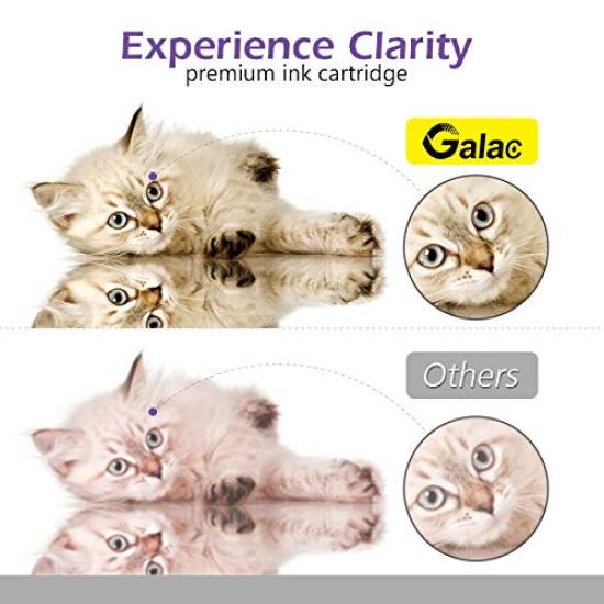 Canon Ink Cartridges with Compatible with PIXMA Printers BC-310 High-Yield (2 Cartridges) Indicator, (MP493, MP490, MP480, MP280, MP270, MX420, MX350,