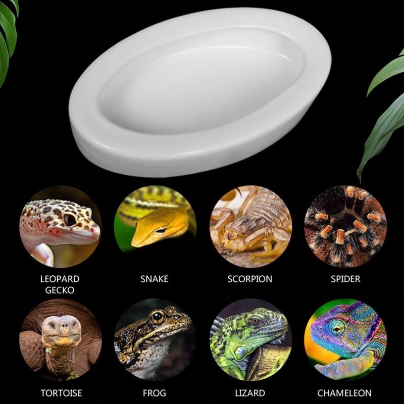 Reptile Water Food Bowl Terrarium Bowls Worm Dish Ceramic Pet Bowls Anti-Escape Feeding Dish, Birds Bowl