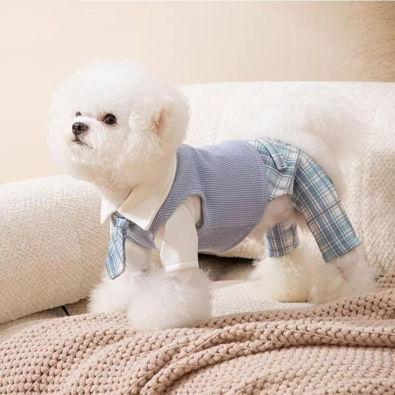 Korean college style couple outfit puppy dog autumn and winter warm teddy than bear cat two-legged skirt pet clothes