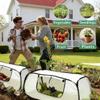 Housse de protection isolante pour plantes Filet pop-up pour plantes Cage protectrice transparente en PVC Lit de légumes