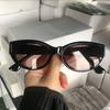 Cat Eye New Oval Sunglasses Personalized Vintage Fashion Trendy Female Girls Shades Popular Brand Designer Eyewear Lentes