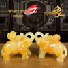 Nafu Feng Shui Elephant Ornaments: Wealth-Attracting, Spirit-Warding Décor for Living Room or Entrance Hall.