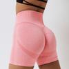 Women's Seamless Yoga Hip Lifting Tight High Waisted Sports Shorts