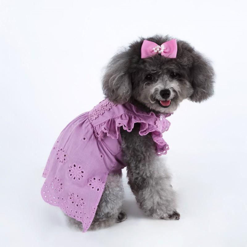 Huisdier Kant Fladderende Mouw Prinsessenjurk Teddy Poedel Kat Met Haaraccessoire