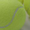 Piłki tenisowe Wysokie odbicie Trening Trening na zewnątrz Elastyczność Trwały tenis dla psów Gryź Chase i Chomp 6,5 cm Piłka dla psa