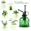 SinRenn Glass Watering Can, 250ml, for Houseplants, Gardening, Cleaning, Ultra-Fine Mist, Home Decor, Plants, Gift, Glass Liquid Spray Bottle,