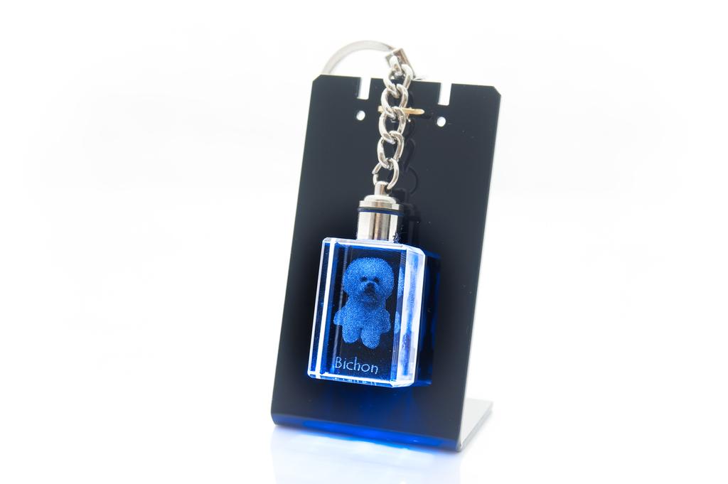 Bichon Frise, Bichon Tenerife, Bichon a Poil Frise - Crystal Key Ring with Dog Photo, Illuminated Key Ring, Unique Gift by Art-Dog Brand