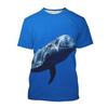 Summer Sea Fish Whale 3d Printed T-shirt Street Men's Fashion Harajuku Casual O-neck T-shirt T-shirt Top Clothing