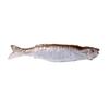 Simulated Salted Fish Hairpin Hair Clip Headwear Headdress Creative Keychain