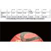 Yunnan Pu'er Banzhang Mother Tree First Spring Pu'er Raw Tea 357g Cake Tea