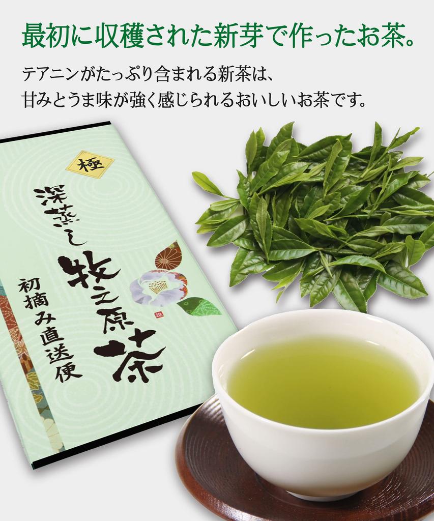 100% First Harvest Makinohara Tea from Shizuoka, Deep-Steamed Makinohara Tea, Covered Green Tea, Leaf Tea, Premium Quality, 100g (1 bag)