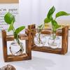Wooden Frame Hydroponic Plant Vase Bonsai Decor Flower Arrangement Container Home Decor