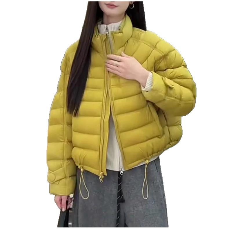 Turtle back ribs women's short stand-up collar down jacket women's new duck down women's clothing Korean version loose winter HD
