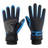 Ski Winter Thermal Gloves