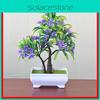 Simulated Potted Plant With Durable Plastic For Gift And Indoor Garden Use