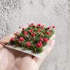 Blumen-Miniaturmodell 20 mm 20 Stück Künstliche Gras Pflanze für Mikrolandschaft Sandtisch DIY für Kinder Erwachsene Kindergeburtstagsgeschenk Feiertagsgeschenk