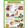 Gakken Science and Learning Make the Ultimate Mud Ball That Looks Like a Perfectly Round and Mud Ball King Premium 6 and Q750901 Presents Let's