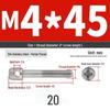 304 Stainless Steel Lead Seal Galvanized Meter Screw with Cross Hole