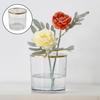 Vase Transparent Round Flower Creative Fresh Cut Dried Bottle