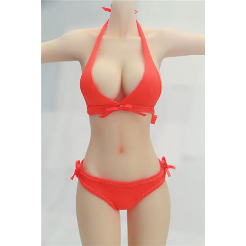 

Фигурка Летний Сексуальный Купальник Бикини B и голова не [TOYBARJAPAN] 1/6 Аксессуары/Красивые Женщины (Тело включено)