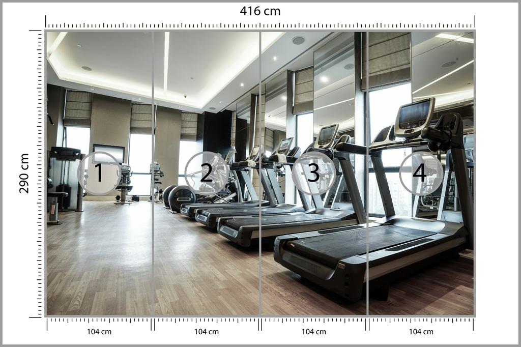 Photomural Modern Fitness Club Washable Fleece 416x290