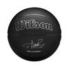 Wilson Evergreen Giannis NBA Basketball