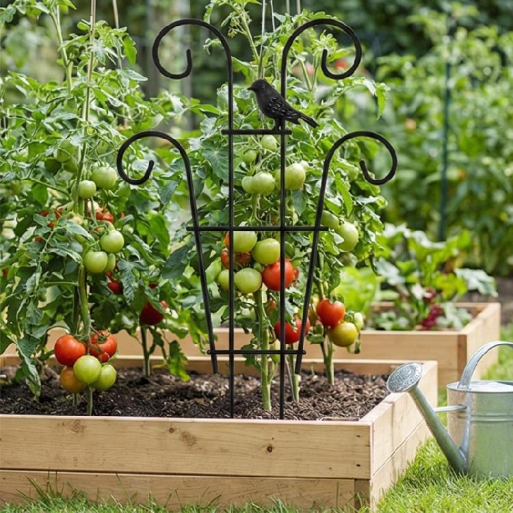 Garden Stake Removable Obelisk Support for Climbing Plant Trellis Height Suitable for Various Climbing Plant