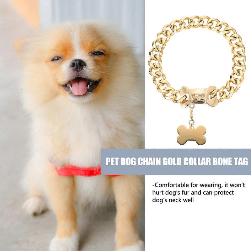 Zarter Haustieranhänger Goldener Titanstahl Hundehalsband 1 Stück