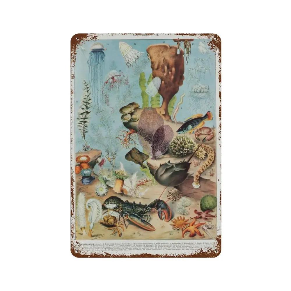 Vintage Pilz Medizin Blume Insekt Schmetterling Gemüse Kürbis Karotte Metall Aluminium Schilder Heim Zimmer Garten Wandkunst Pla