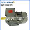 ZIEHL-ABEGG ZAPE 100L2-4/PE Electric Motor